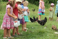 child friendly feeding hens