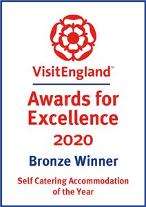 VE Awards for Excellence 2020 - SC Bronze Award 