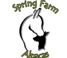 ALPACA WALKING at Spring Farm Alpacas