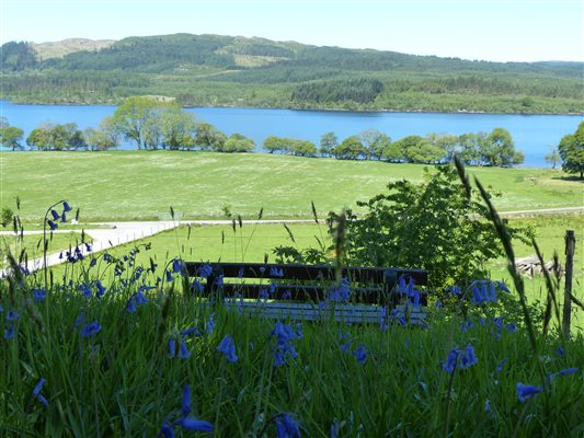 Seating bench on a hill surrounded by bluebells overlooking a green field and a loch in scotlandd 