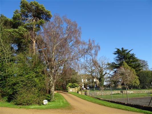 Tennis court and gardens entrance