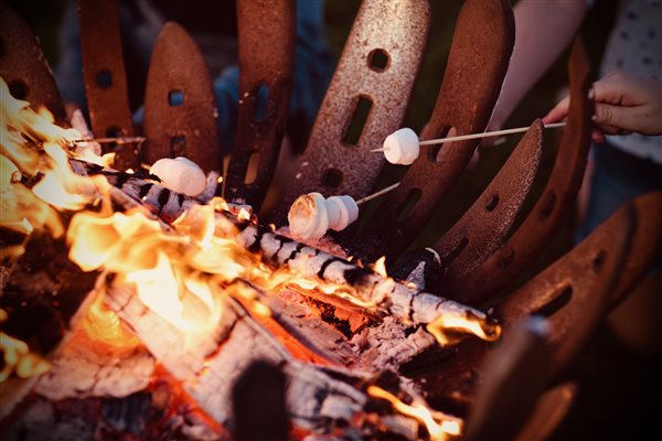 Fire pit and marshmallows