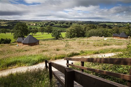 Little Seed Field Glamping