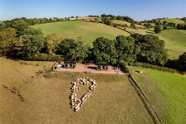 Heart sheep by shepherd huts