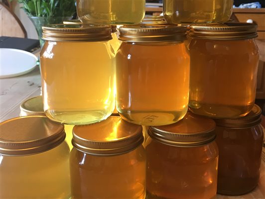 Honey harvest