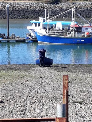 boats down at the harbour at nearby Pwllheli, vibrant town of Llyn Peninsula just 2.5miles away from Llwyn Beuno - llynholidays.wales