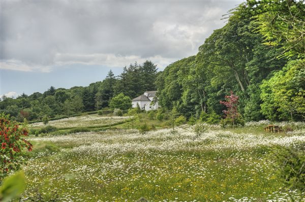 Cutlar's Lodge from wildflower meadow