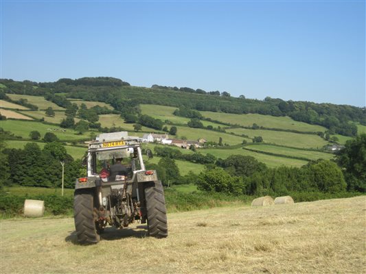 View down East Devon valley