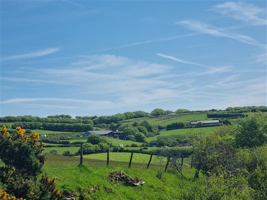 Views of the farm