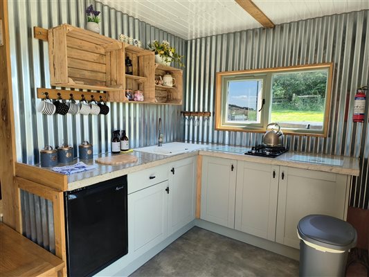 Crinkly Cabin Kitchen
