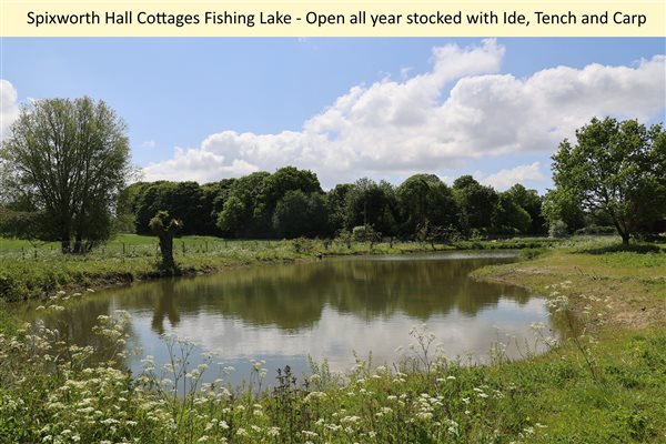 Fishing lake at Spixworth Hall Cottages