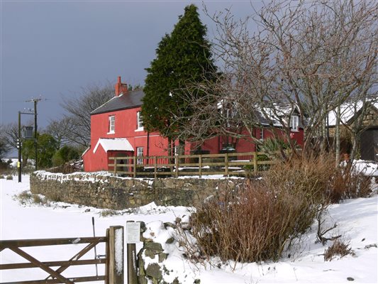 Clyne Farmhouse in the snow