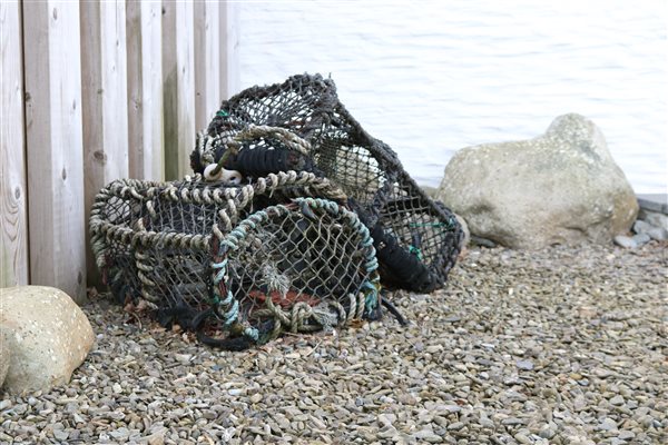 lobster pots from Cardigan Bay