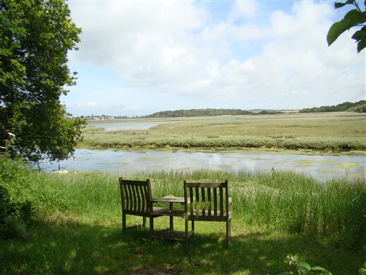 View of the Estuary