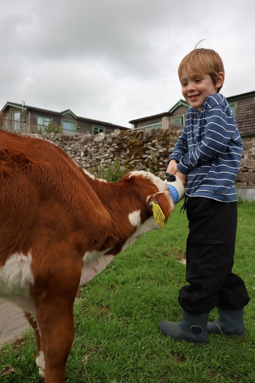animal magic on a farm holiday