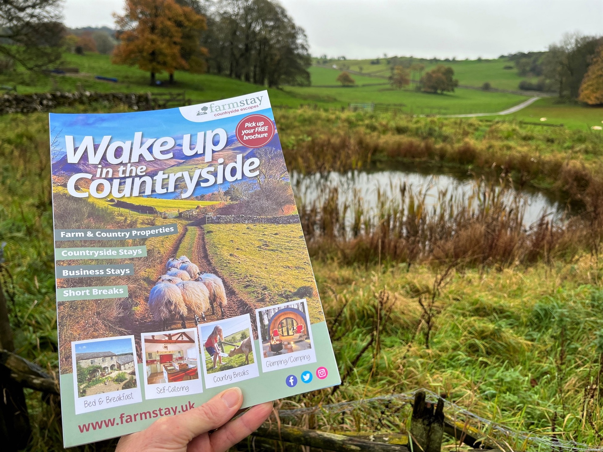 Link to Farm Stay Brochure