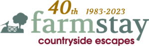fs 40 logo 300x93