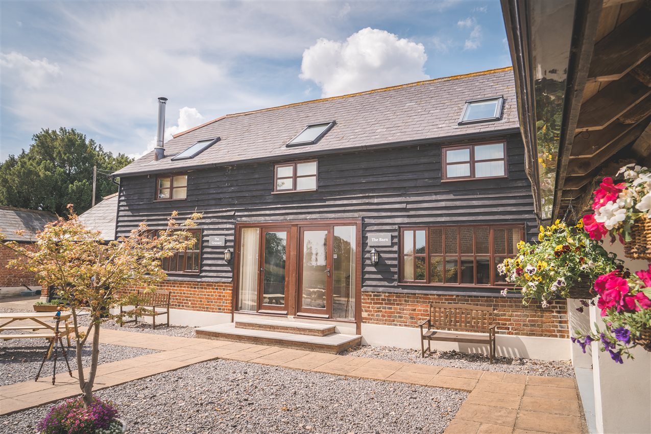 stay in the new forest