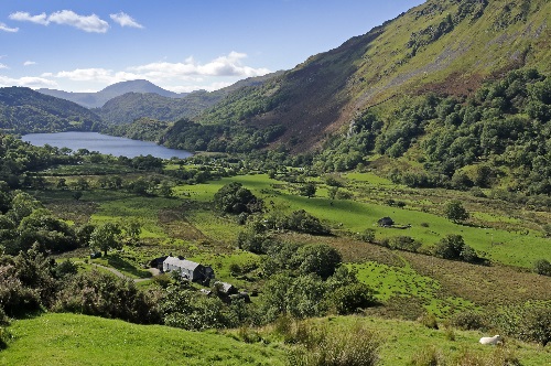 View of Llyn Gwynant, Snowdonia