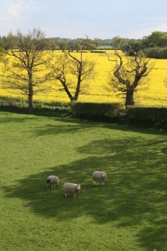 Cotton Farm, Cheshire