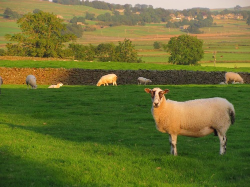 Layhead Farm