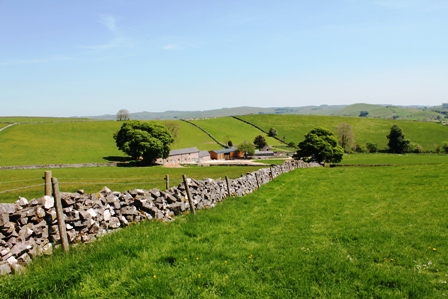 Summer at Broad Ecton Farm