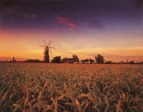 Sibsey Trader Mill, Lincolnshire