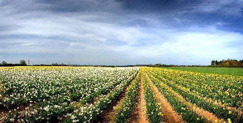 Rookery Farm, Norfolk