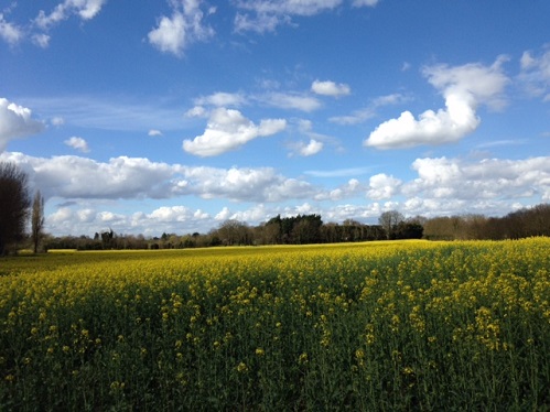 Essex Countryside. Stay on a farm Essex