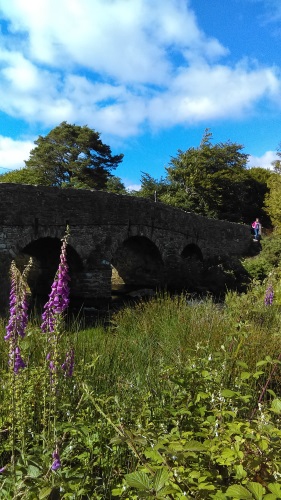 Dartmoor