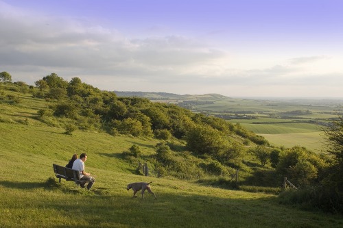 Dunstable Downs, Bedfordshire