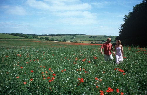 Walking in Turville, Buckinghamshire