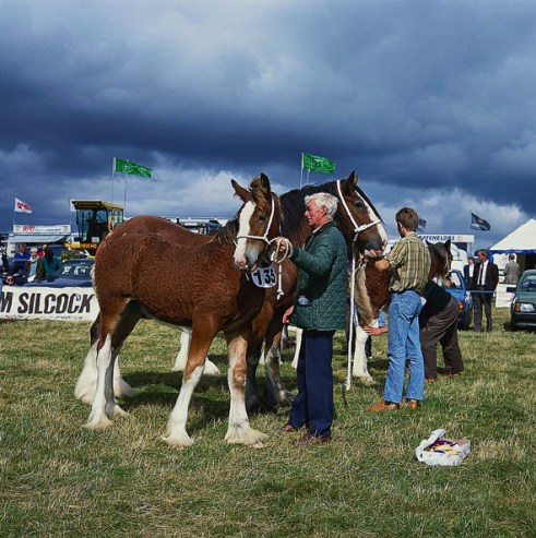 Great Yorkshire Show