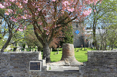 The fossil tree near Stanhope Church