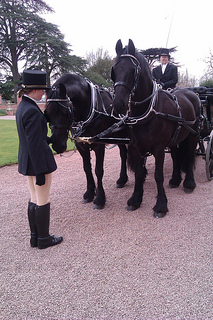 Horse and carriage