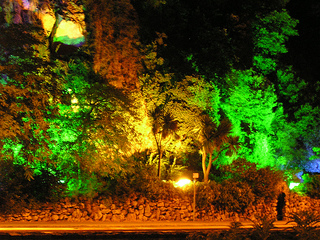 Gardens at night