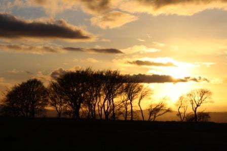 Cleeve Hill