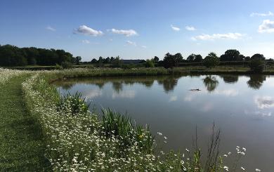 Oxton Hill - Fishing lake