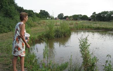 The Mews - Fishing lake