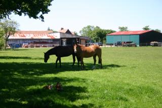 Holidays with Horses Lincolnshire