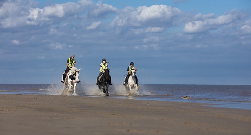 Holidays with horses farm stay Lincolnshire Coast 