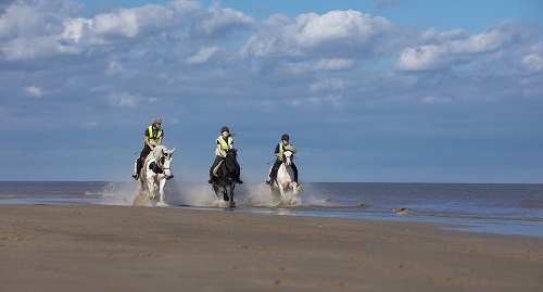 Holidays with horses farm stay Lincolnshire Coast
