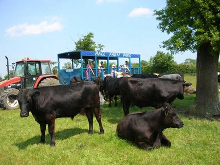 Hall Farm Park near Market Rasen 