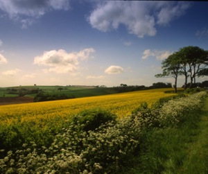 Lincolnshire countryside