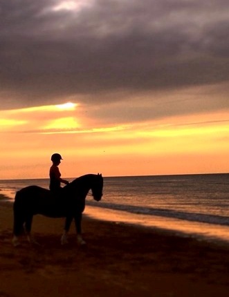 Holidays with Horses Norfolk