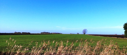 Fishing Breaks Cambridgeshire Fens