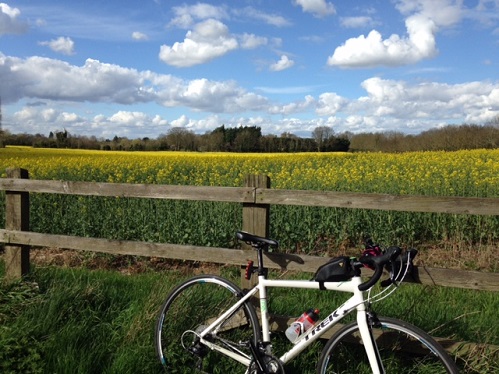 Cycling in The Fens 
