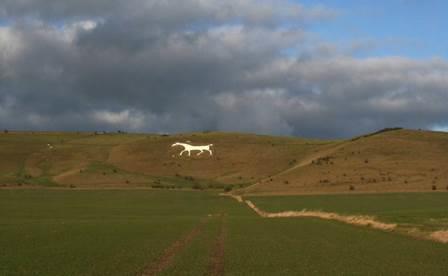 white horse walking wiltshire