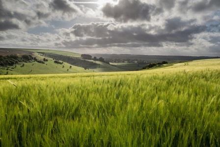 wiltshire walking landscape