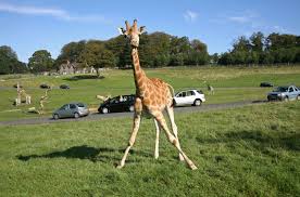 longleat accommodation